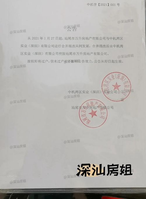 重磅！汕尾高鐵站旁萬升廣場或將易主，國內貿易代理或成新起點